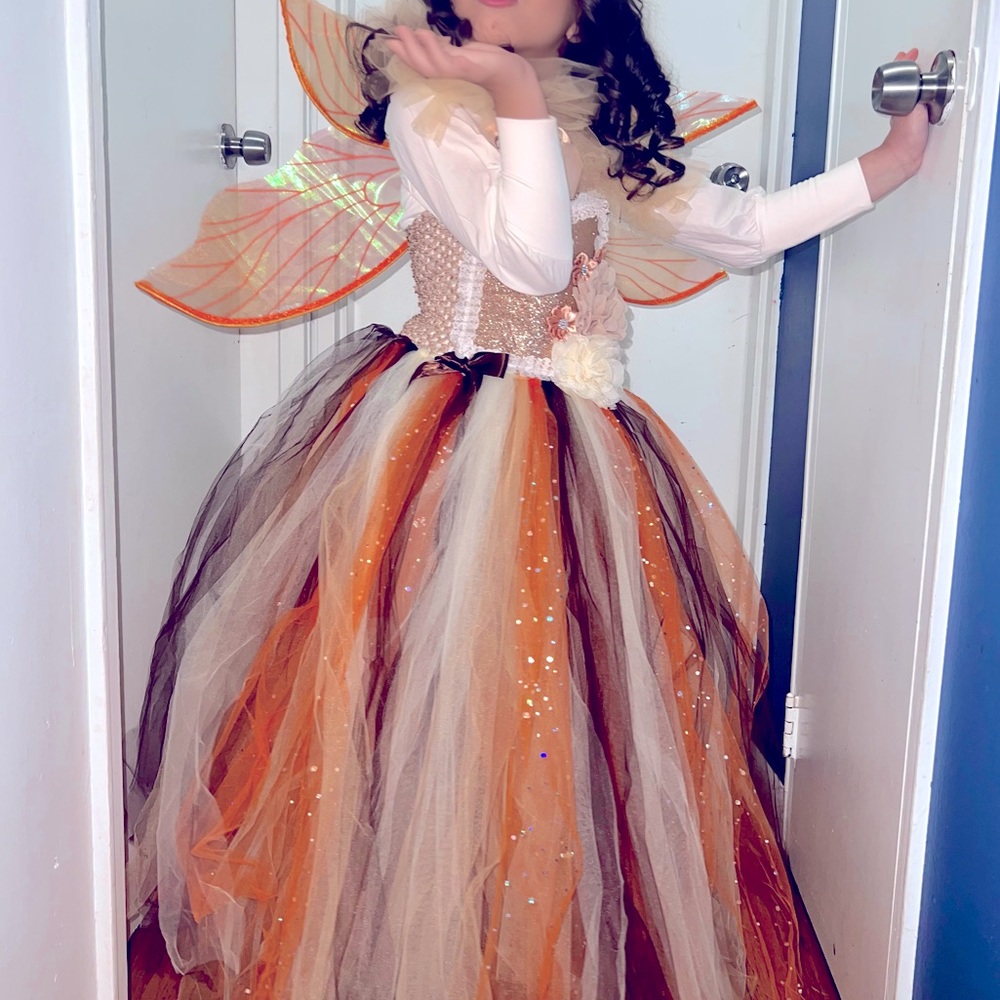 Beautiful Boutique Fairy Dress & Wings